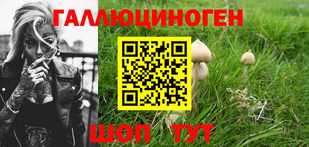 Биробиджан  Галлюциногенные грибы MAGIC MUSHROOMS  цена   Вход с VPN 
