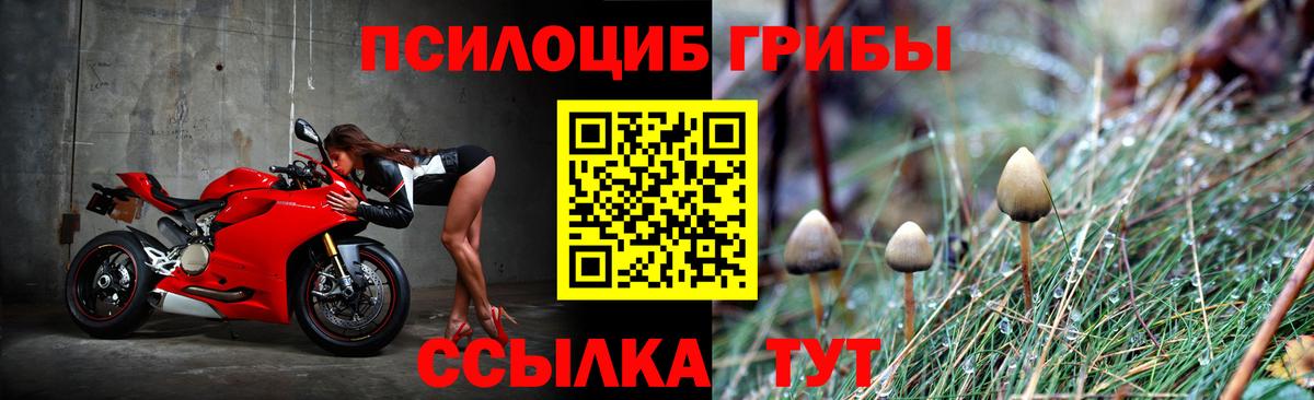 Галлюциногенные грибы GOLDEN TEACHER Биробиджан